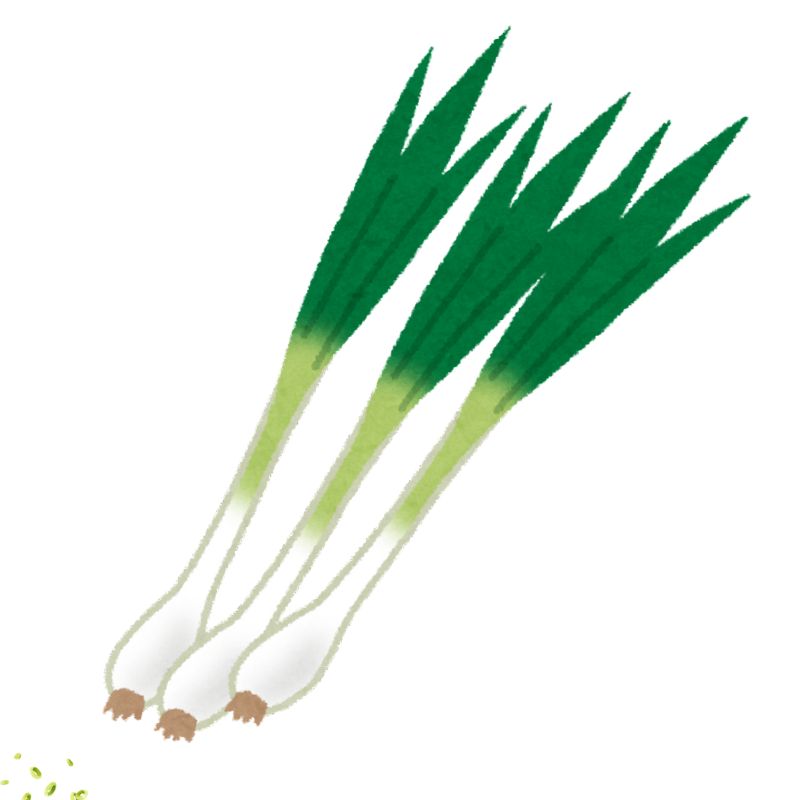 Spring Foodie Seed Bundle