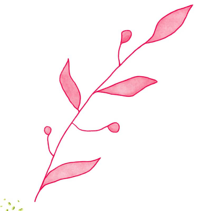 Pretty Edible Seed Bundle