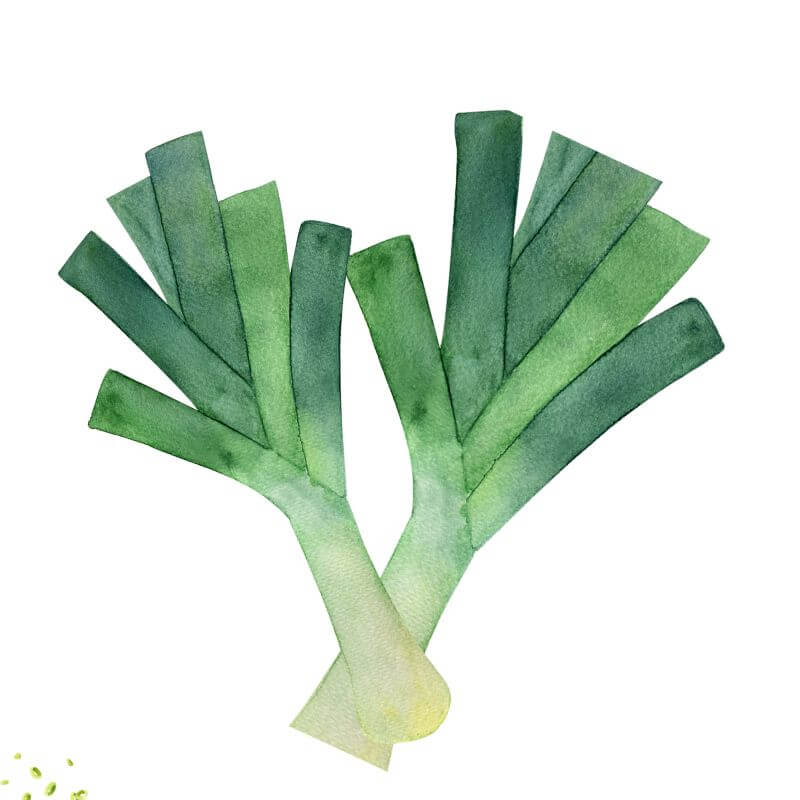 Spring Foodie Seed Bundle